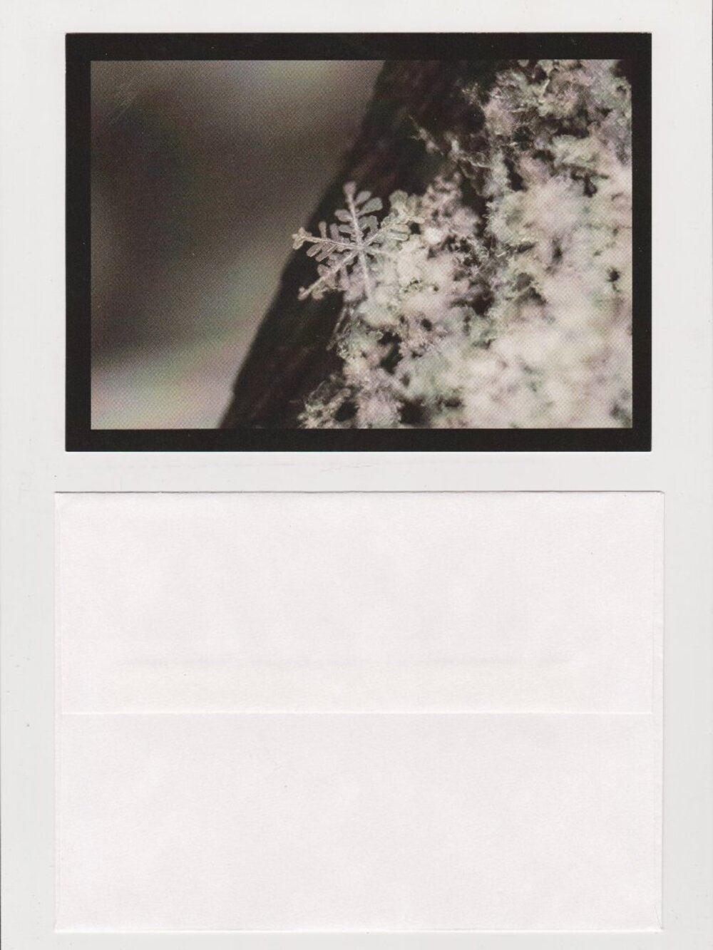Snowflake POSTCARD (Manitoba, 2015) 5x7